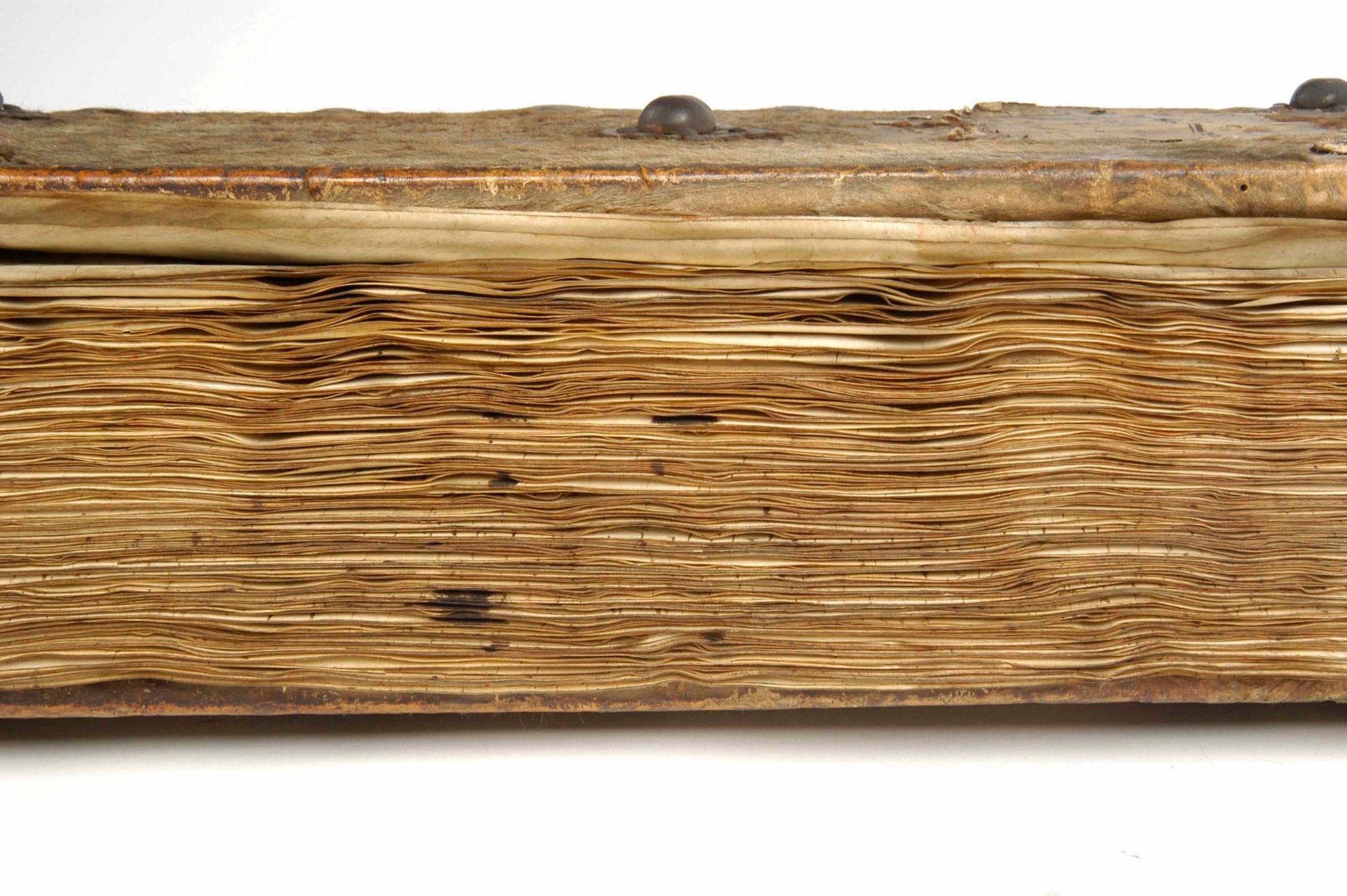 Le terrier de l'Hôpital général de Limoges : un document de poids