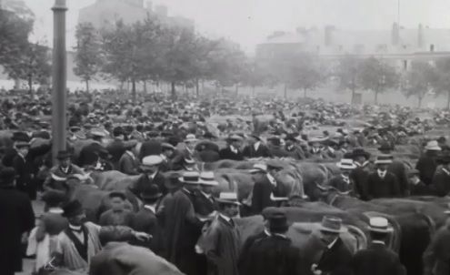 Foire de Saint-Loup, Limoges, 22 mai 1913